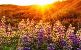 pi: What we know and why it matters